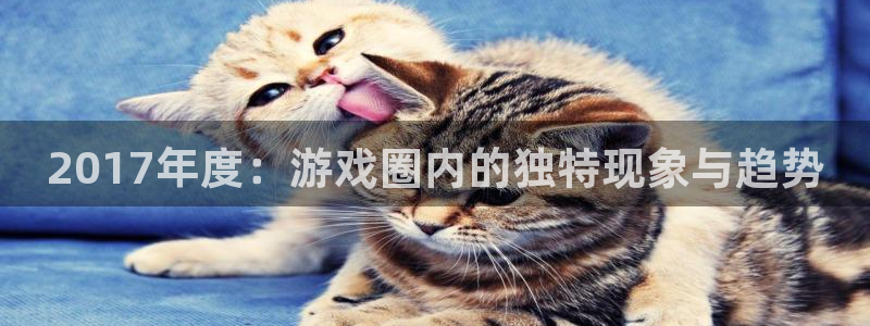 pp电子官网客服服务