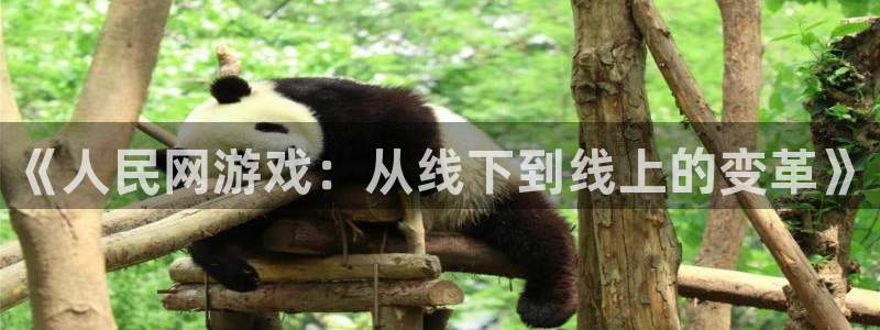 pp电子官网客服电话号码