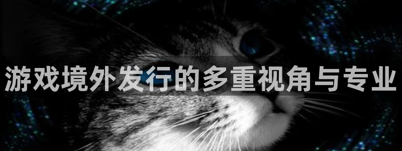 广东pp电子电子商务有限公司电话