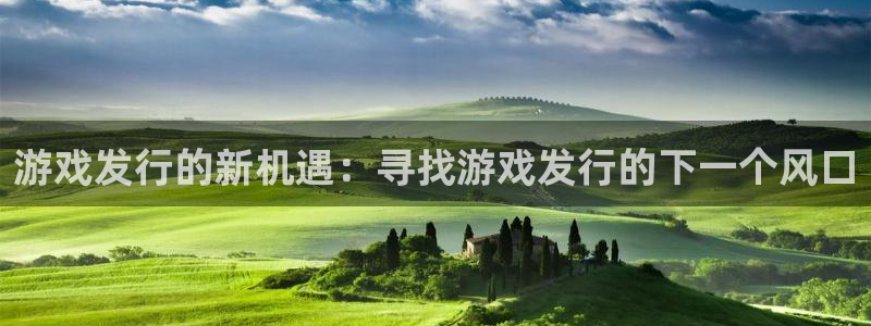 广东pp电子电子科技有限公司