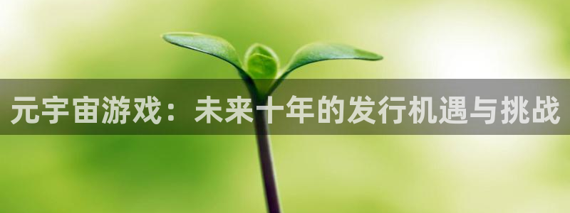 我想看pp电子：元宇宙游戏：未来十年的发行机遇与挑战