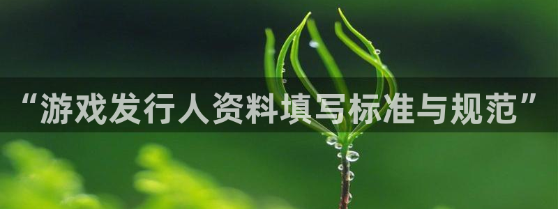pp电子官网登录注册账号是什么：“游戏发行人资料填写标准与规范”