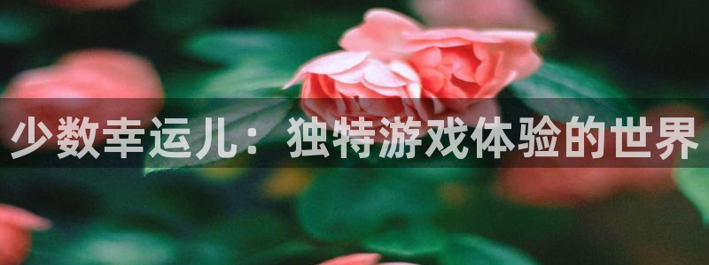 pp电子子怎么来的：少数幸运儿：独特游戏体验的世界