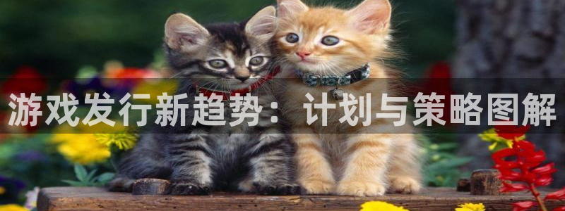 pp电子子写作课