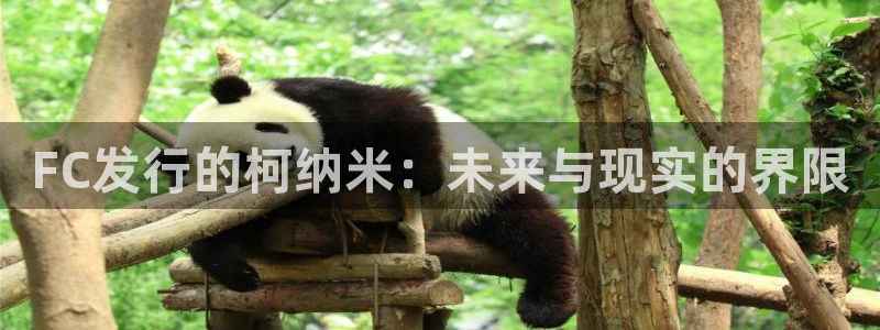 pp电子官网登录注册账号安全吗可靠吗：FC发行的柯纳米：未来与现实的界限