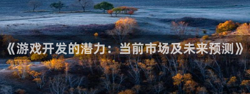 佛山pp电子电子商务