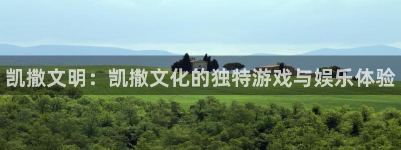 pp电子电子商务有限公司地址
