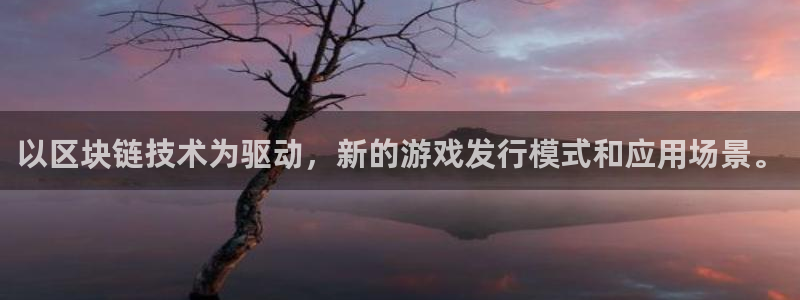 pp电子电子科技怎么样：以区块链技术为驱动，新的游戏发行模式和应用场景。