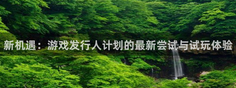 苏州pp电子网络科技有限公司