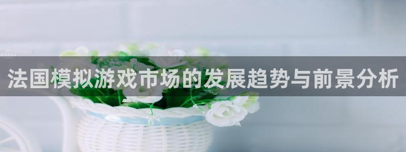 长沙pp电子子电子商务有限公司