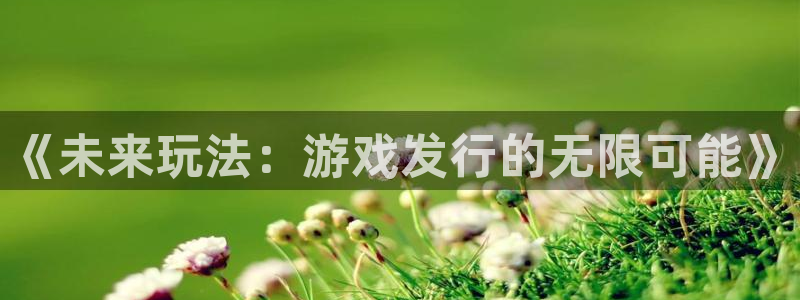 pp电子服装分店有几家
