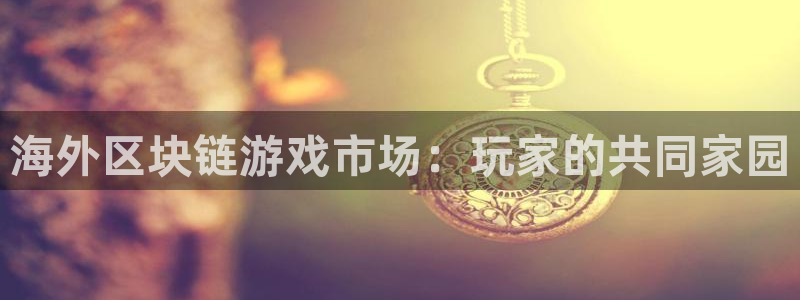 pp电子官网登录注册账号失败怎么办：海外区块链游戏市场：玩家的共同家园