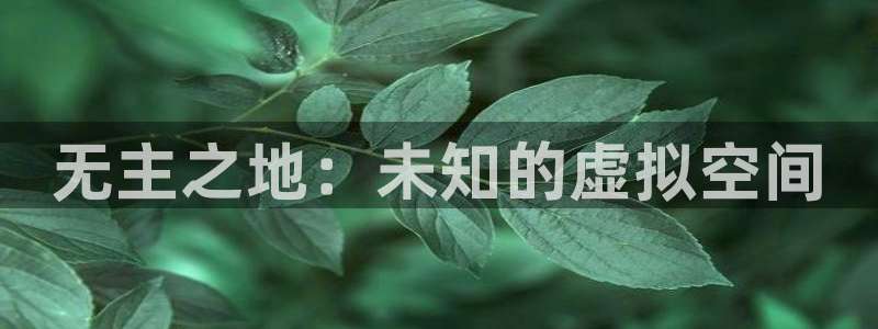 广州pp电子网络科技有限公司怎么样：无主之地：未知的虚拟空间