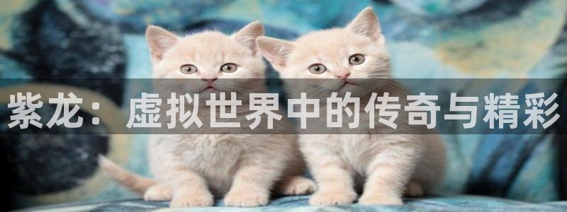 pp电子啤酒怎么样：紫龙：虚拟世界中的传奇与精彩