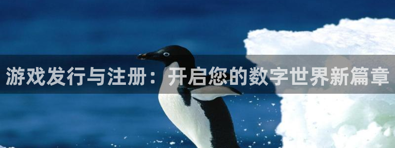 pp电子户外：游戏发行与注册：开启您的数字世界新篇章