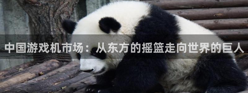 陕西pp电子子文化创意有限公司是做什么的：中国游戏机市场：从东方的摇篮走向世界的巨人