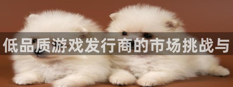 pp电子衣服怎么样：低品质游戏发行商的市场挑战与