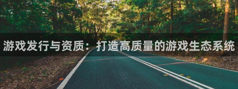 pp电子官网：游戏发行与资质：打造高质量的游戏生态系统