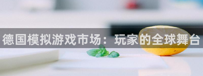 pp电子官网注册方法是什么意思