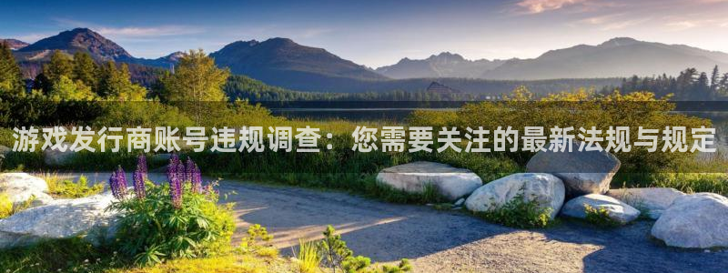 pp电子官网注册地址：游戏发行商账号违规调查：您需要关注的最新法规与规定