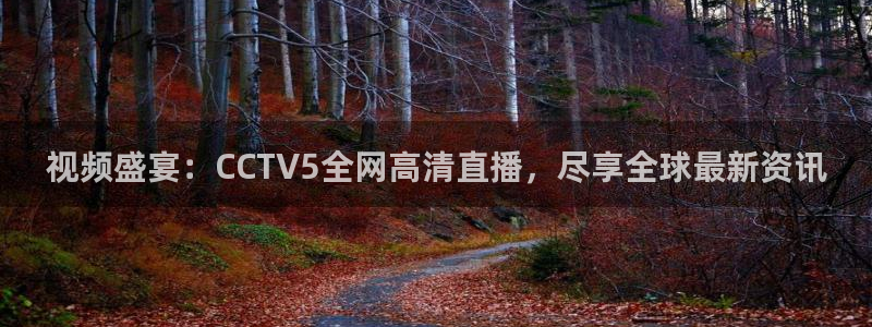 9255tv直播无插件nba