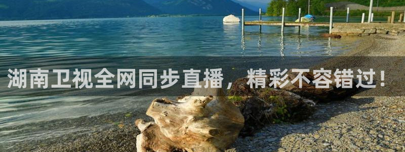 9255tv直播nba在线观看：湖南卫视全网同步直播，精彩不容错过！
