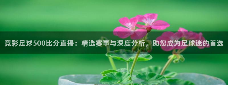9255tv直播nba在线观看：竞彩足球500比分直播：精选赛事与深度分析，助您成为足球迷的首选