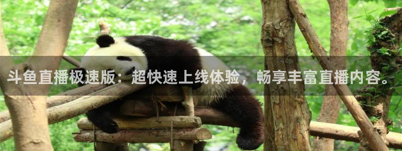 9255tv直播无插件nba：斗鱼直播极速版：超快速上线体验，畅享丰富直播内容。