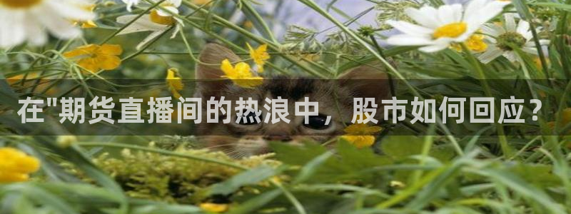 9255tv直播nba在线直播：在\