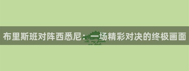 9255tv直播无插件nba：布里斯班对阵西悉尼：一场精彩对决的终极画面