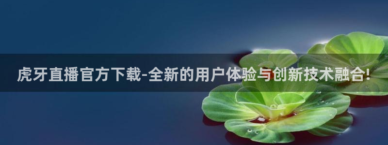 9255tv直播nba在线直播：虎牙直播官方下载-全新的用户体验与创新技术融合!